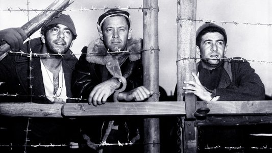Stalag 17