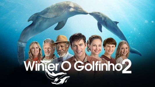 Dolphin Tale 2