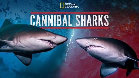 Cannibal Sharks