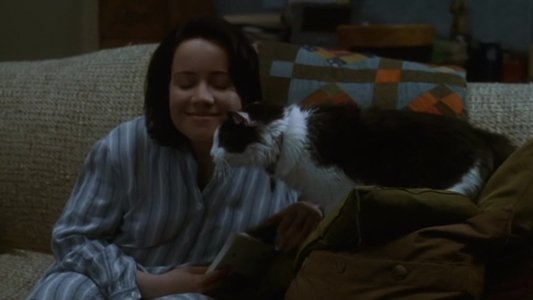The Truth About Cats & Dogs