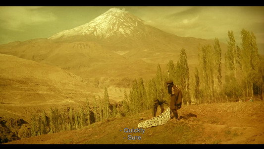درخت گلابی