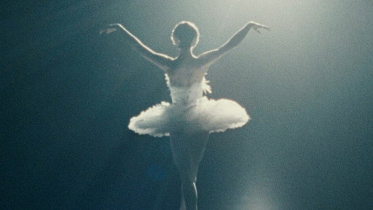 Black Swan