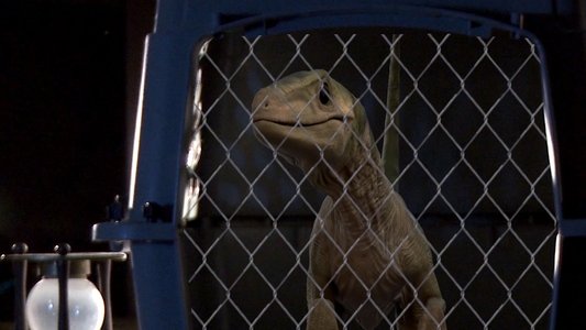 David's Dinosaur