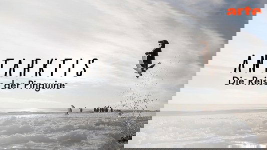 Antarctica, sur les traces de l'empereur