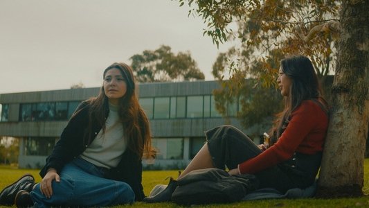 Flunk: The Girl That Got Away