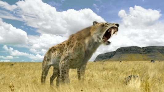Walking with Beasts