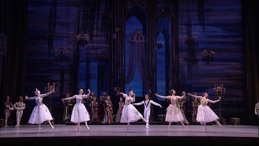 Tchaikovsky - Swan Lake (The Bolshoi Ballet Collection)