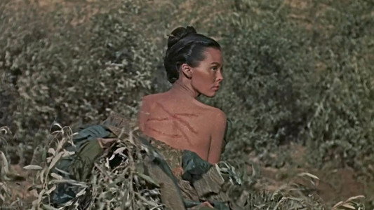 Taza, Son of Cochise