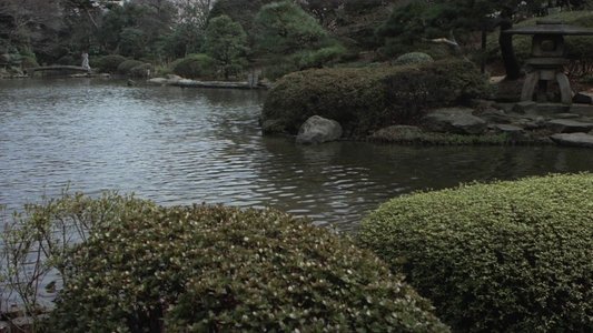 みんなあげちゃう