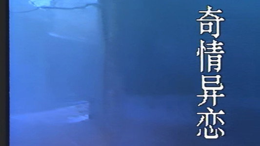 奇情异恋