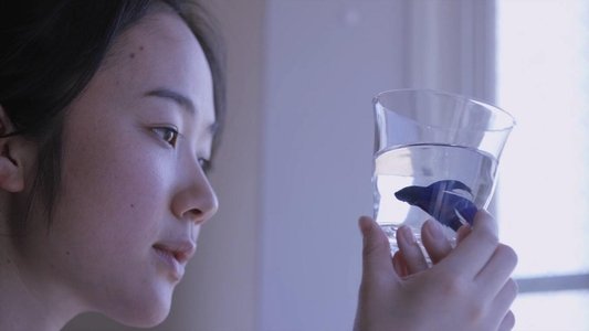リップヴァンウィンクルの花嫁