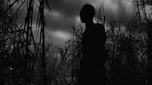 Shadows in the Dark: The Val Lewton Legacy