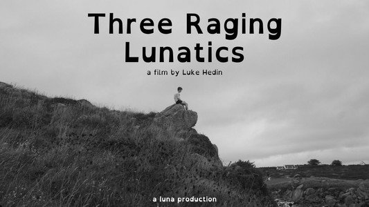 Three Raging Lunatics