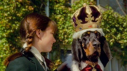The Duke