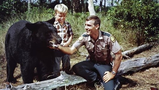 Gentle Ben