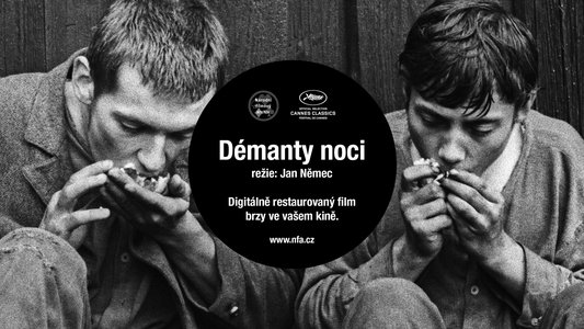 Démanty noci