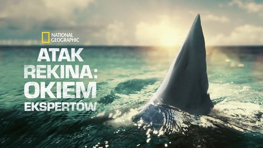 When Sharks Attack 360