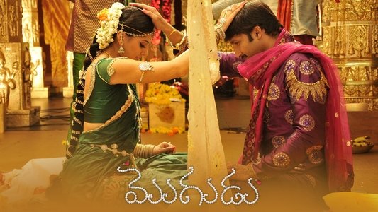 మొగుడు