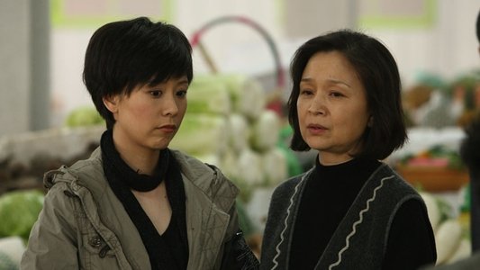 媳妇的美好时代
