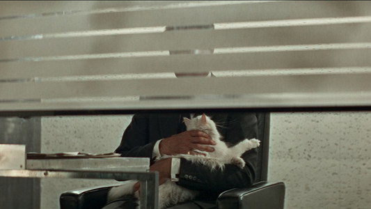 Thunderball