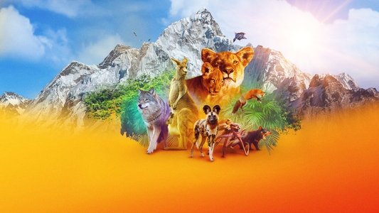 Animal
