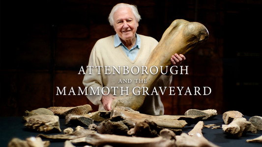 Attenborough and the Mammoth Graveyard
