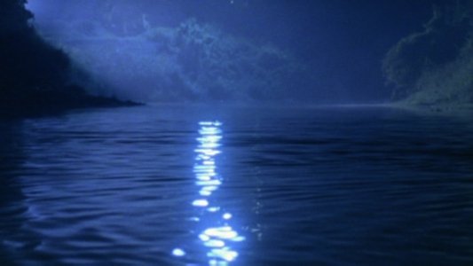 水の中の八月