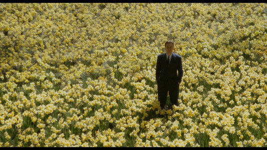 Big Fish
