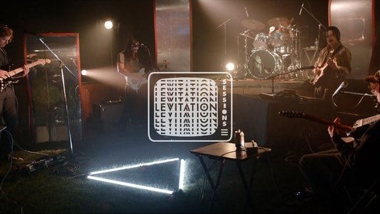 Post Animal - Levitation Sessions