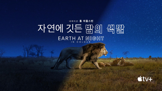 Earth at Night in Colour