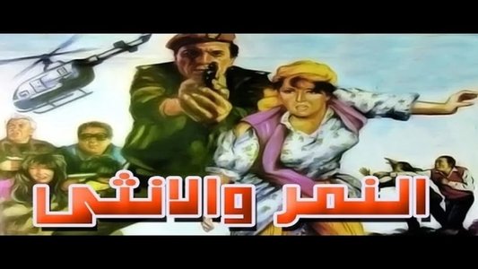 النمر والأنثى