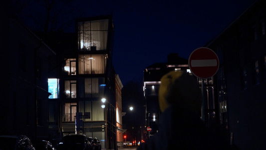 Latvijas Izmeklētāji