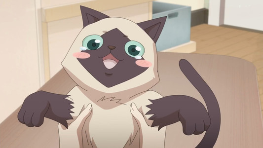 猫先动的手！
