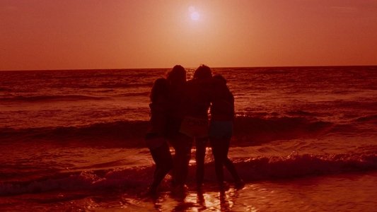Spring Breakers