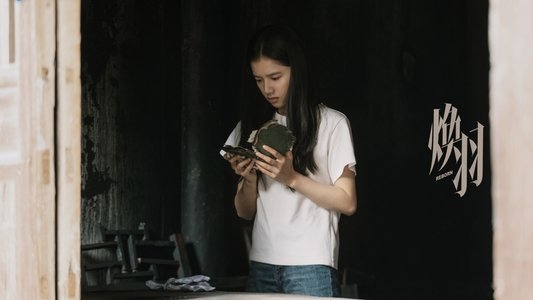 焕羽