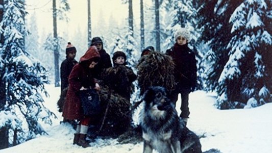 Jelenko