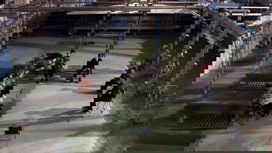 霊的ボリシェヴィキ
