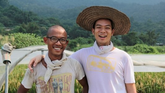 稻米是如何鍊成的