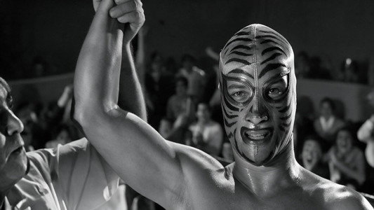 Los tigres del ring