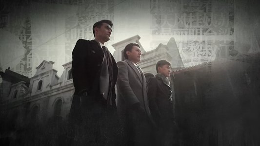 伪装者·DVD版