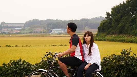 재꽃