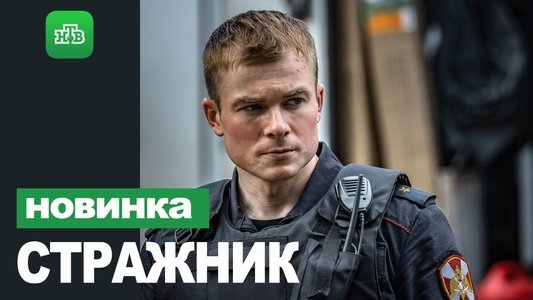 Стражник