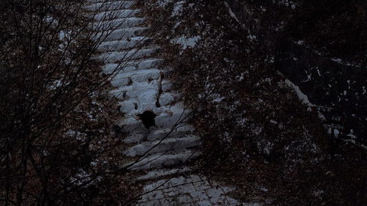 여고괴담 3: 여우계단