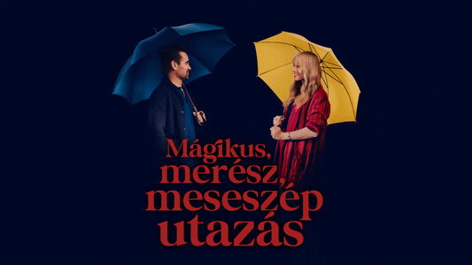 A Big Bold Beautiful Journey