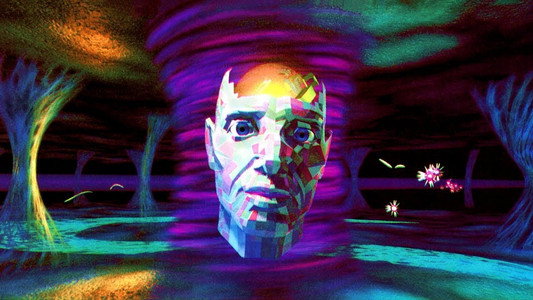 Beyond the Mind's Eye