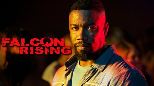 Falcon Rising