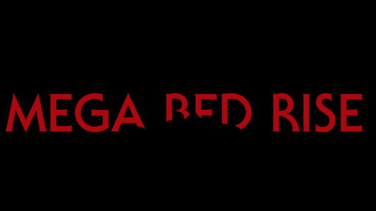 Mega Bed Rise
