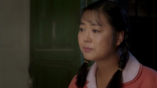 岁岁年年柿柿红