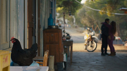 Κότα