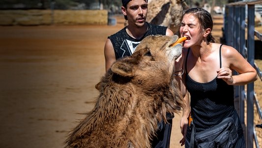 The Amazing Race Australia
